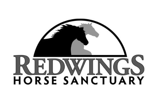 Redwings Logo (3) (1)