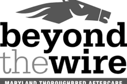 Beyond the Wire Logo