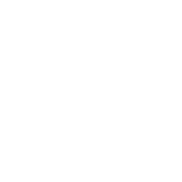 SA-ICON-Video