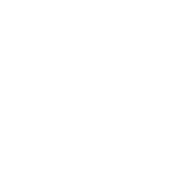 SA-ICON-track