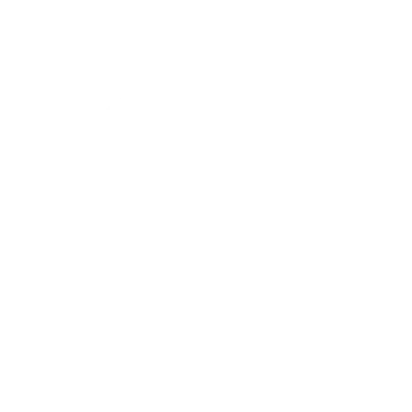 SA-ICON-AI